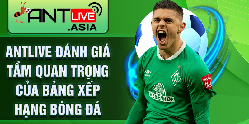 AntLive đánh giá tầm quan trọng của bảng xếp hạng bóng đá