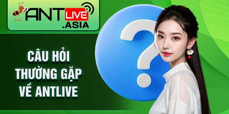Câu hỏi thường gặp về AntLive