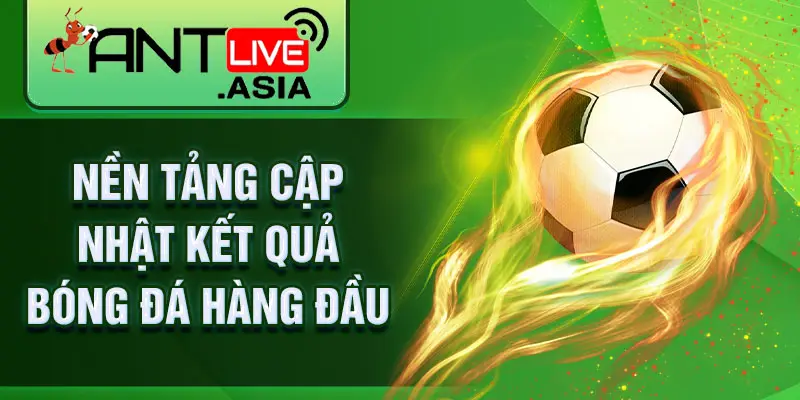 Nền tảng cập nhật kết quả bóng đá hàng đầu