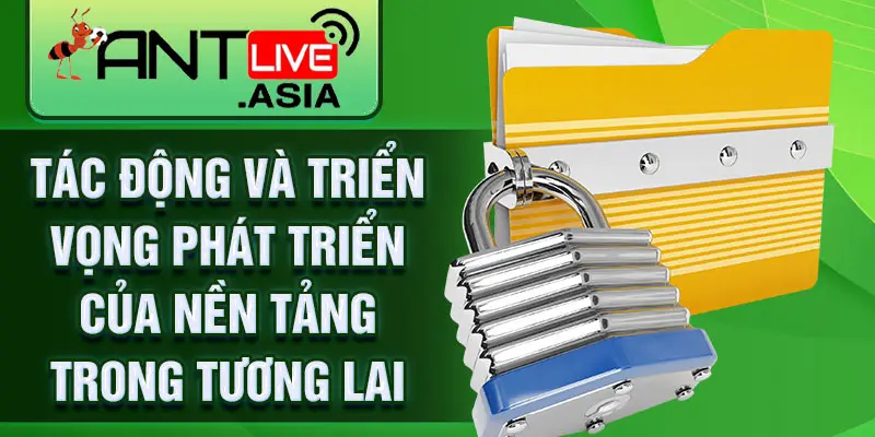 Tác động và triển vọng phát triển của nền tảng trong tương lai