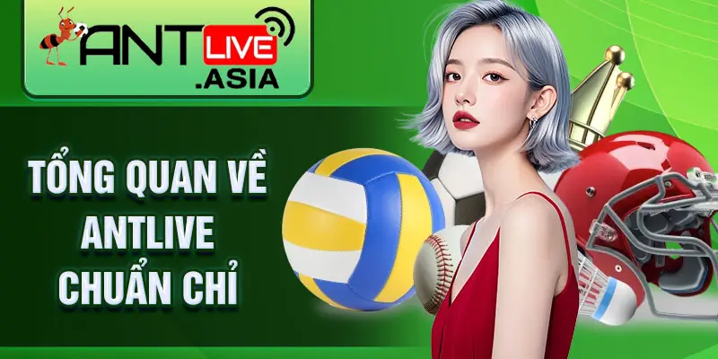 Tổng quan về AntLive chuẩn chỉ