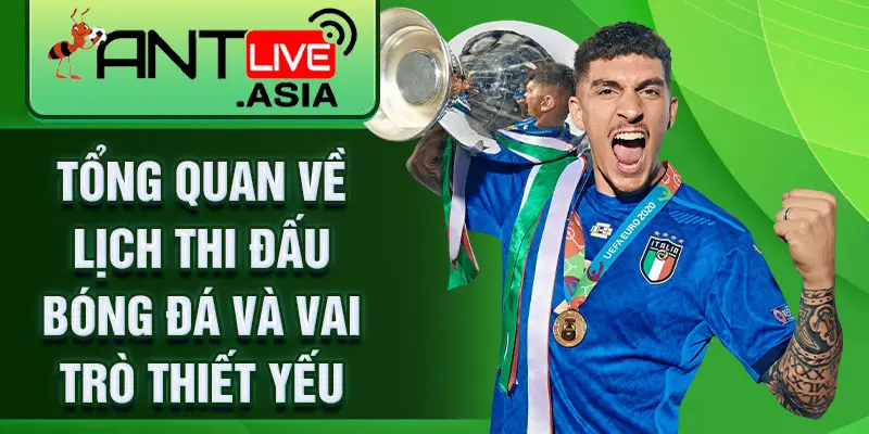 Tổng quan về lịch thi đấu bóng đá và vai trò thiết yếu